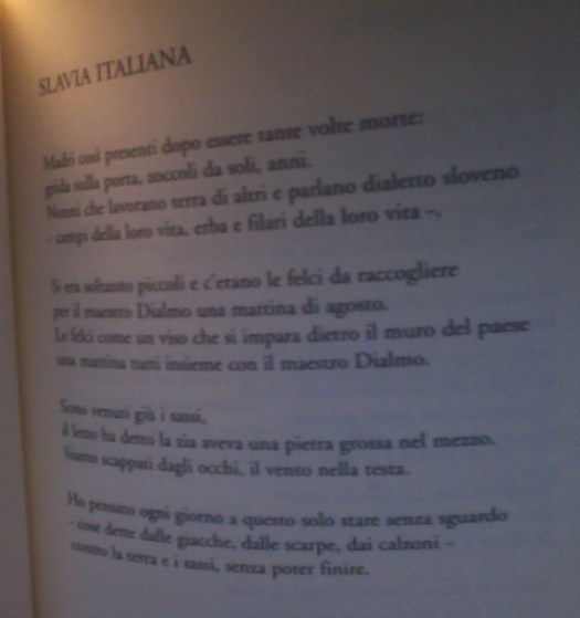 Foto del 19-12-15 alle 19.17