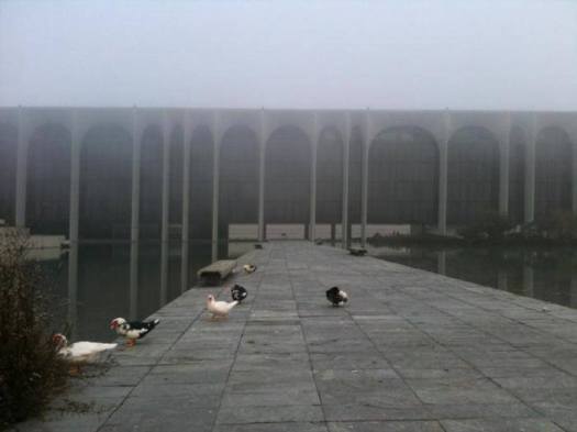 12507469_10207727693857833_839271452279973261_n