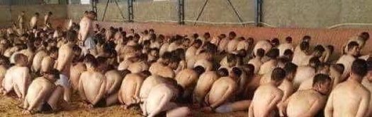 131353915-d37e4b73-2f25-4184-91df-122f8e698b45