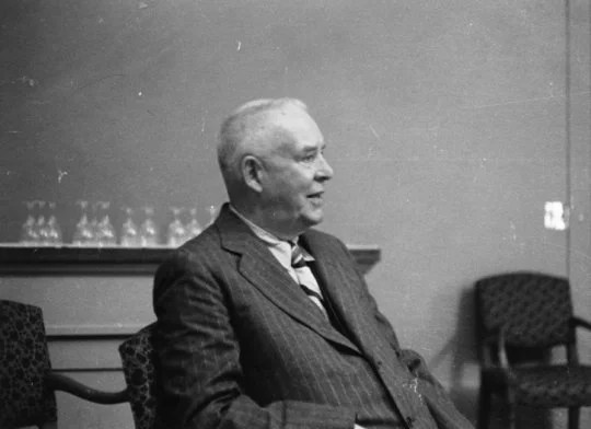 Wallace Stevens — Invective Against Swans — Tamar Yoseloff